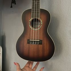Cordoba Ukulele 
