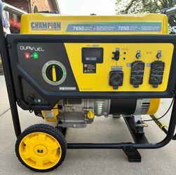 Champion 201463 Dual Fuel Generator