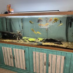 200 Gallon Tank With Everything