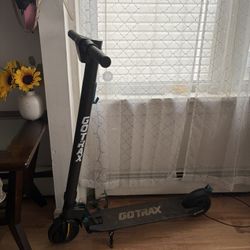 Electric Scooter Gotrax