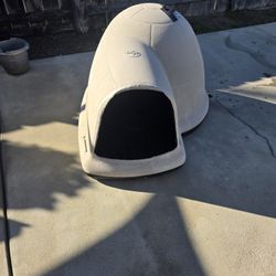 Dog House 