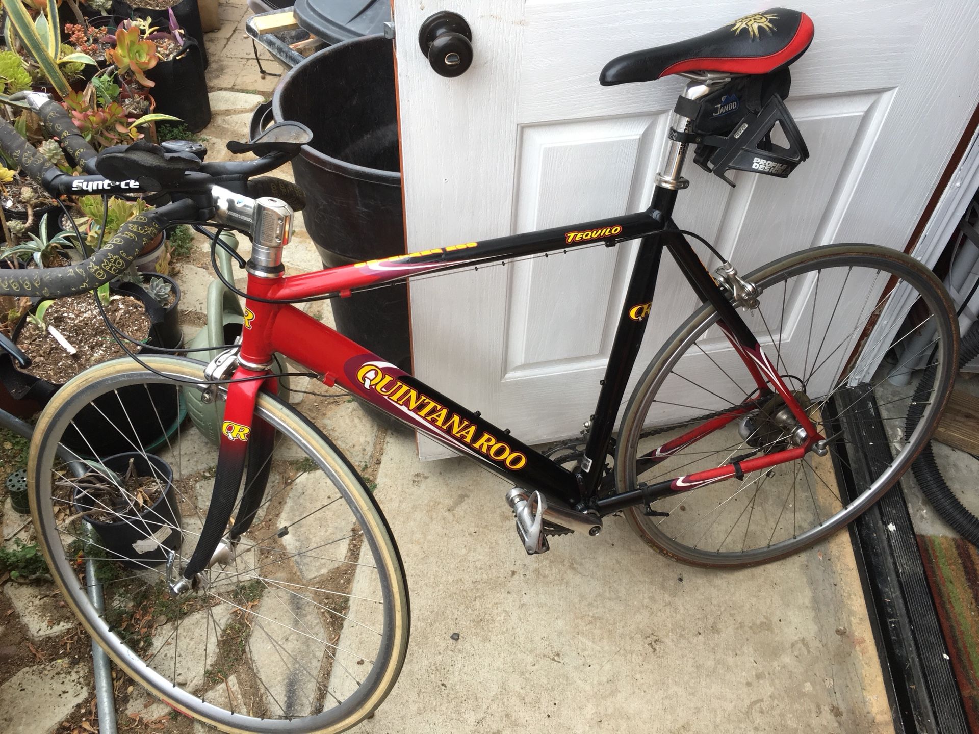 Quintana Roo Tequilo Triathlon Road Bike