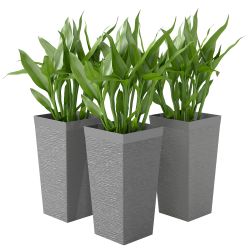 Outdoor Planters set of 3