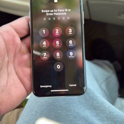 iPhone X