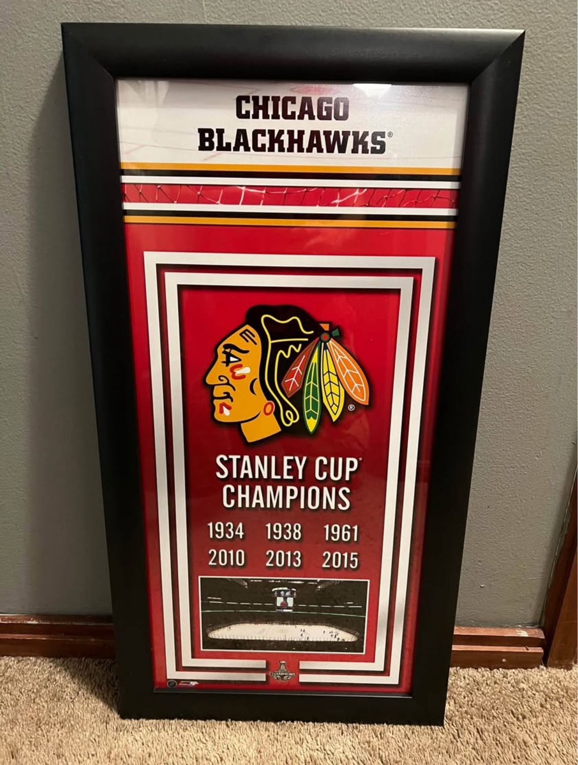 Chicago Blackhawks Stanley Cup Champions Framed