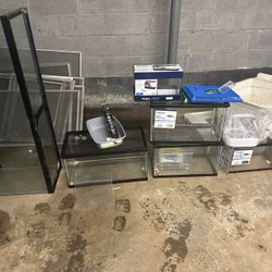 Fish Tanks What Size You Need?