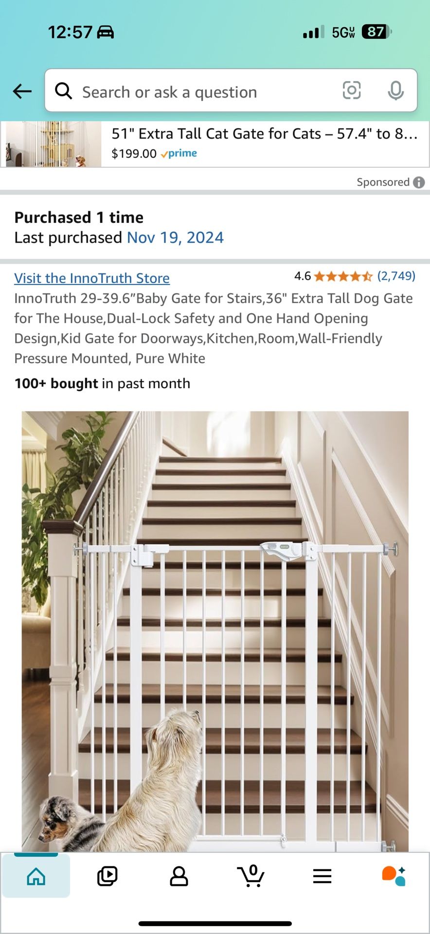 Tall Gate