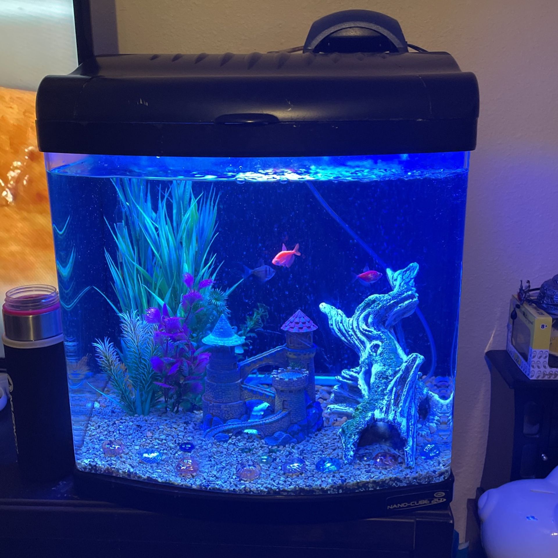 Nano Cube 24 gallon Tank, Comes With 3 Fish And A Sucker Fish And Everything Seen Inside Plus The Add One Shown. 