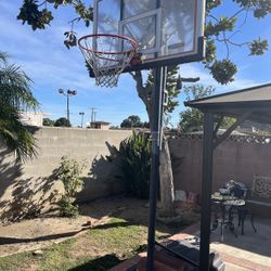 Basketball Court
