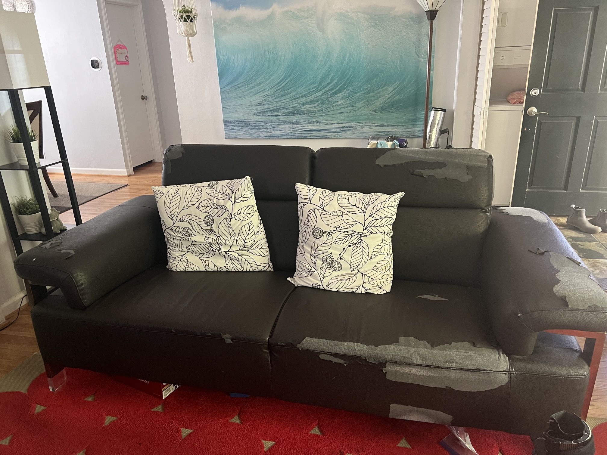 Free Couch