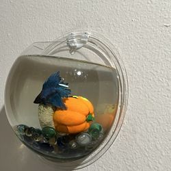Wall Hanging Fish Bowl