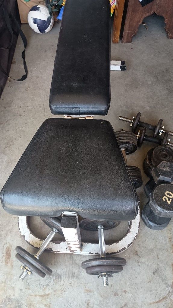 Weight Bench And Weights.