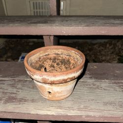 Flower Pot 
