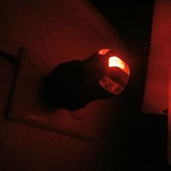 Greenlee Circuit Tester 