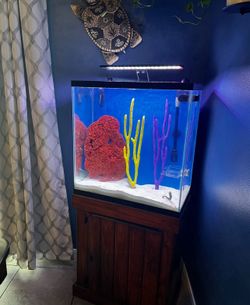 Aquarium Tank