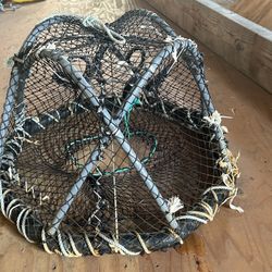 Spot Shrimp Pot