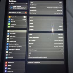 iPad Pro 4Gen 