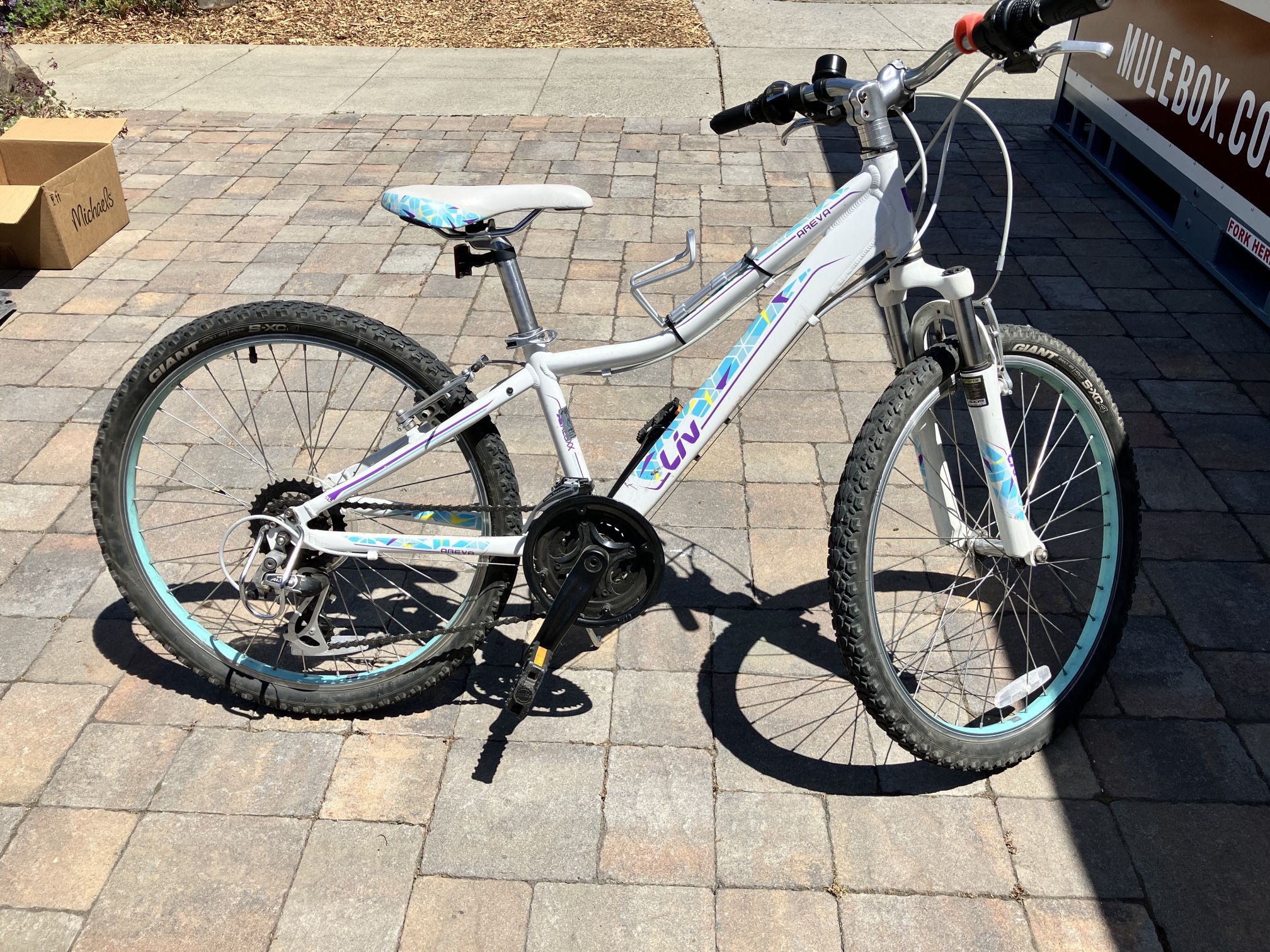For Sale: Liv Areva 24” Girls Mountain Bike – 21-Speed