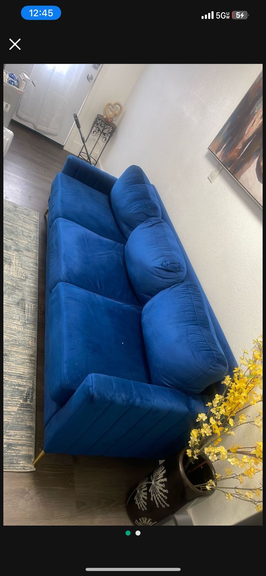 Royal Blue Couch