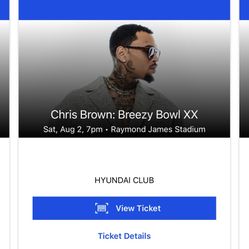 3 Chris Brown Tickets In Florida 