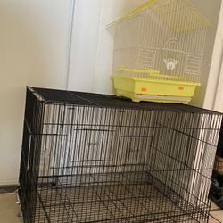 Bird Cages