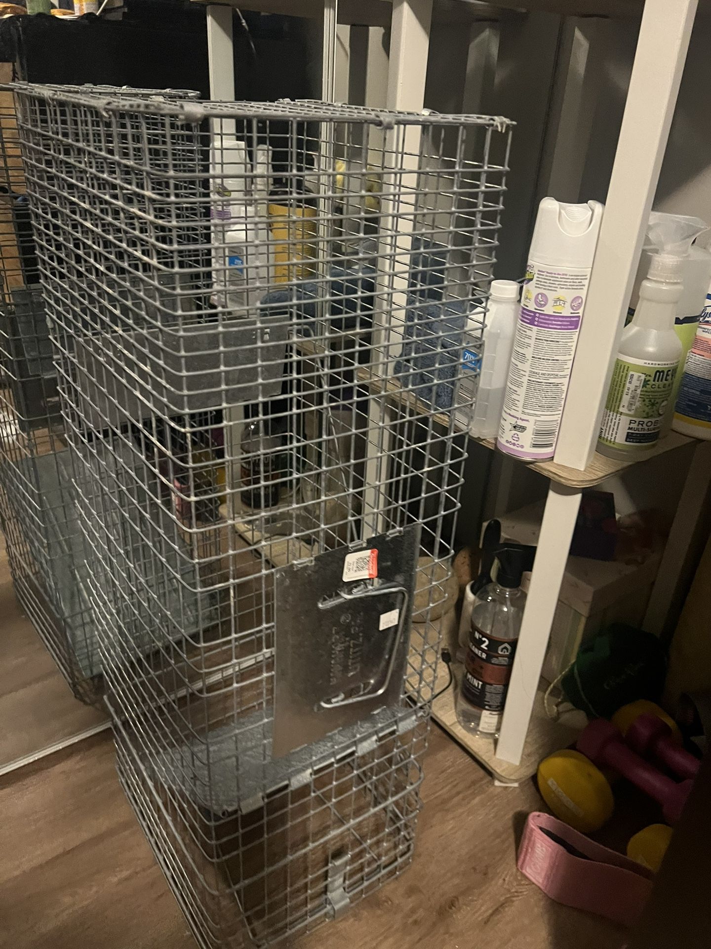 Racoon Trap Or Other