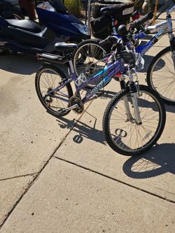 Schwinn ladies bicycle.