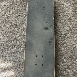 Santa Cruz Skateboard 