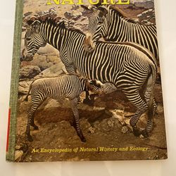VINTAGE 1971 ENCYCLOPEDIA OF NATURE ILLUSTRATED Book Children Reading Education