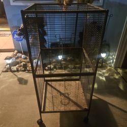 Bird Cage 
