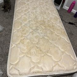 $55 Twin Bed