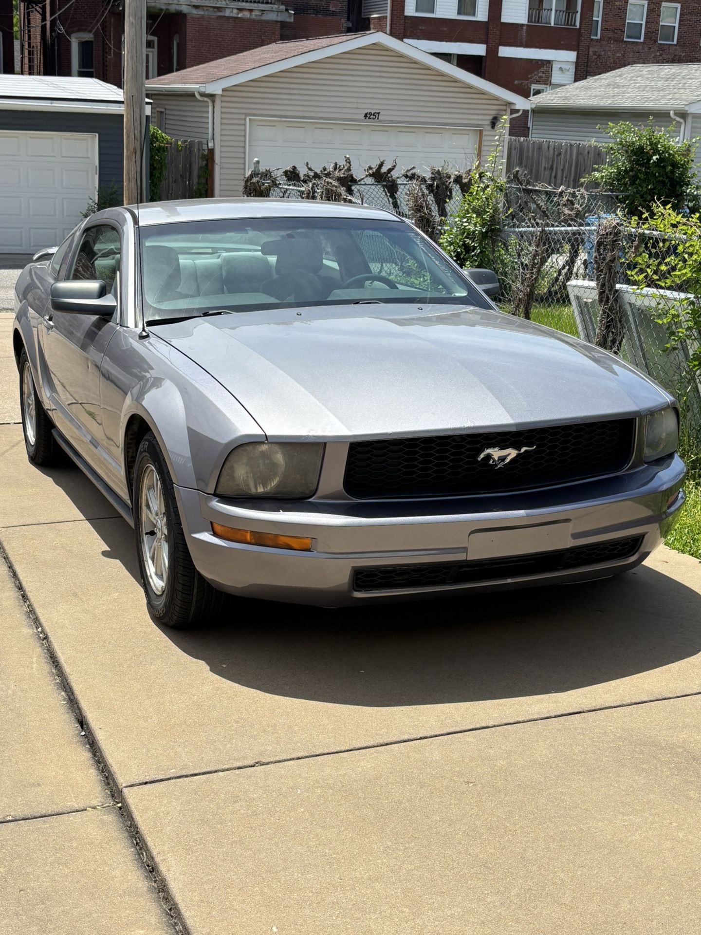 Mustang Deluxe V6 06