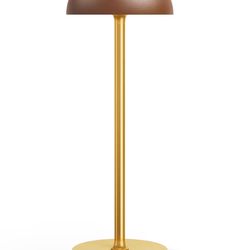 New  Cordless Table Lamp