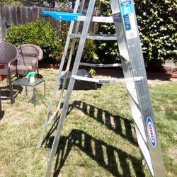 1 6 Foot Ladder 