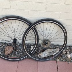 Bike Rims 