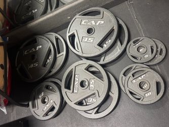 330 lbs Olympic Weight Plates and Olympic Bar