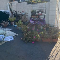 ESTATE SALE-EVERYTHING MUST GO! 