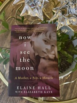 now i see the moon Book
