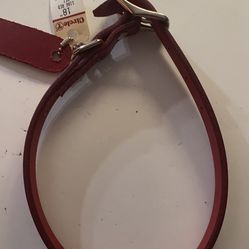 Leather Dog Collar 18” Red