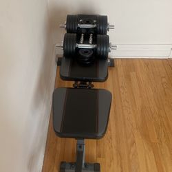 Workout Bench and Weights 