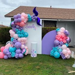Balloon Garland , Kids Party Decor , Backdrop