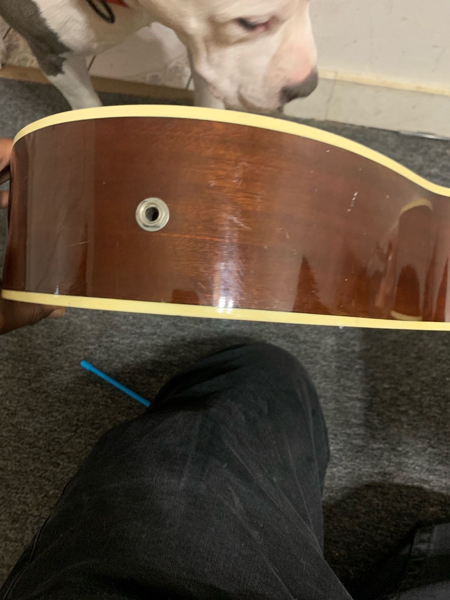 Acoustic Guitar