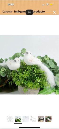 12 artificial Bird decor
