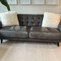 Velvet Gray Couch
