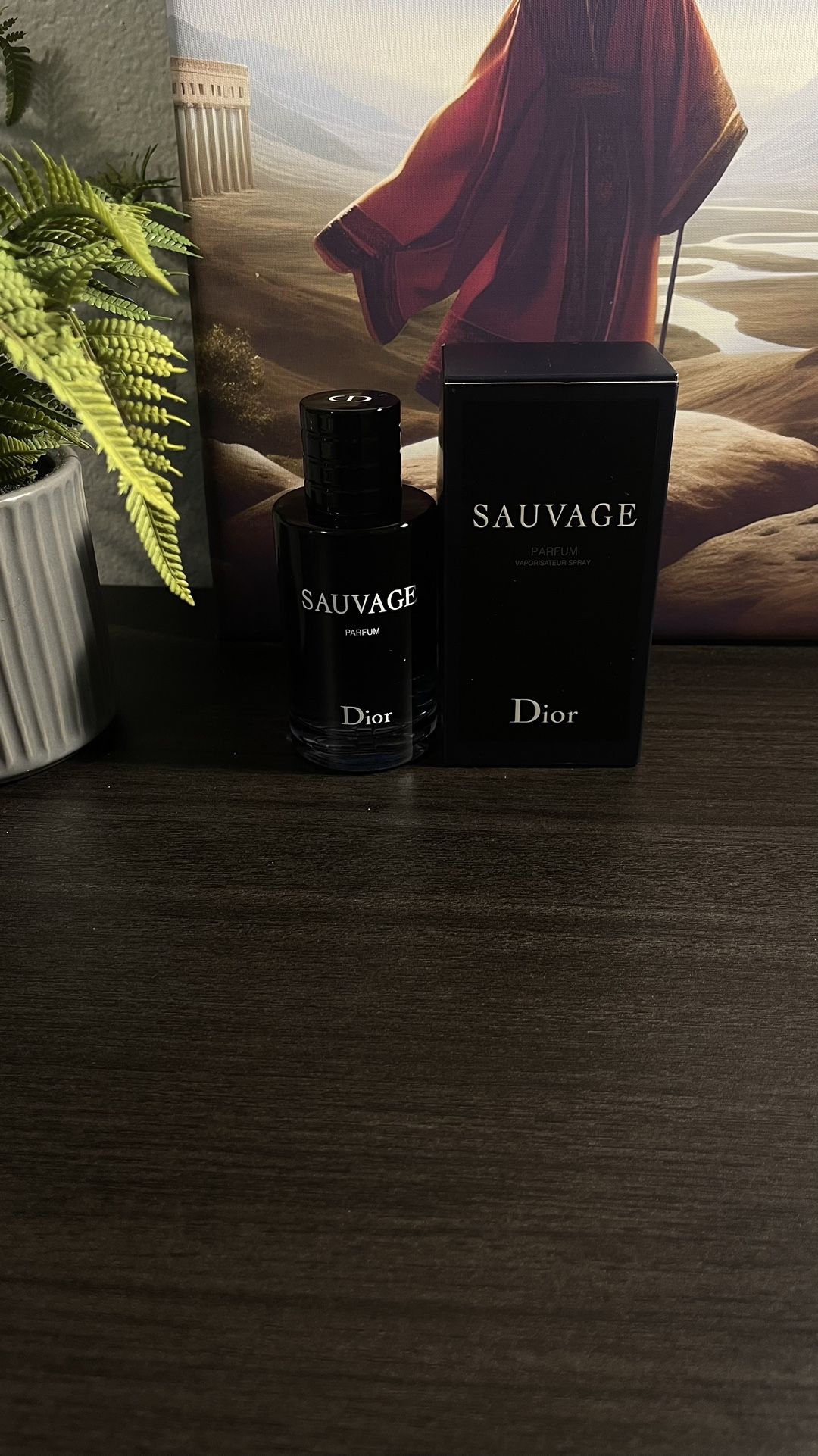Dior Savage Calonge 