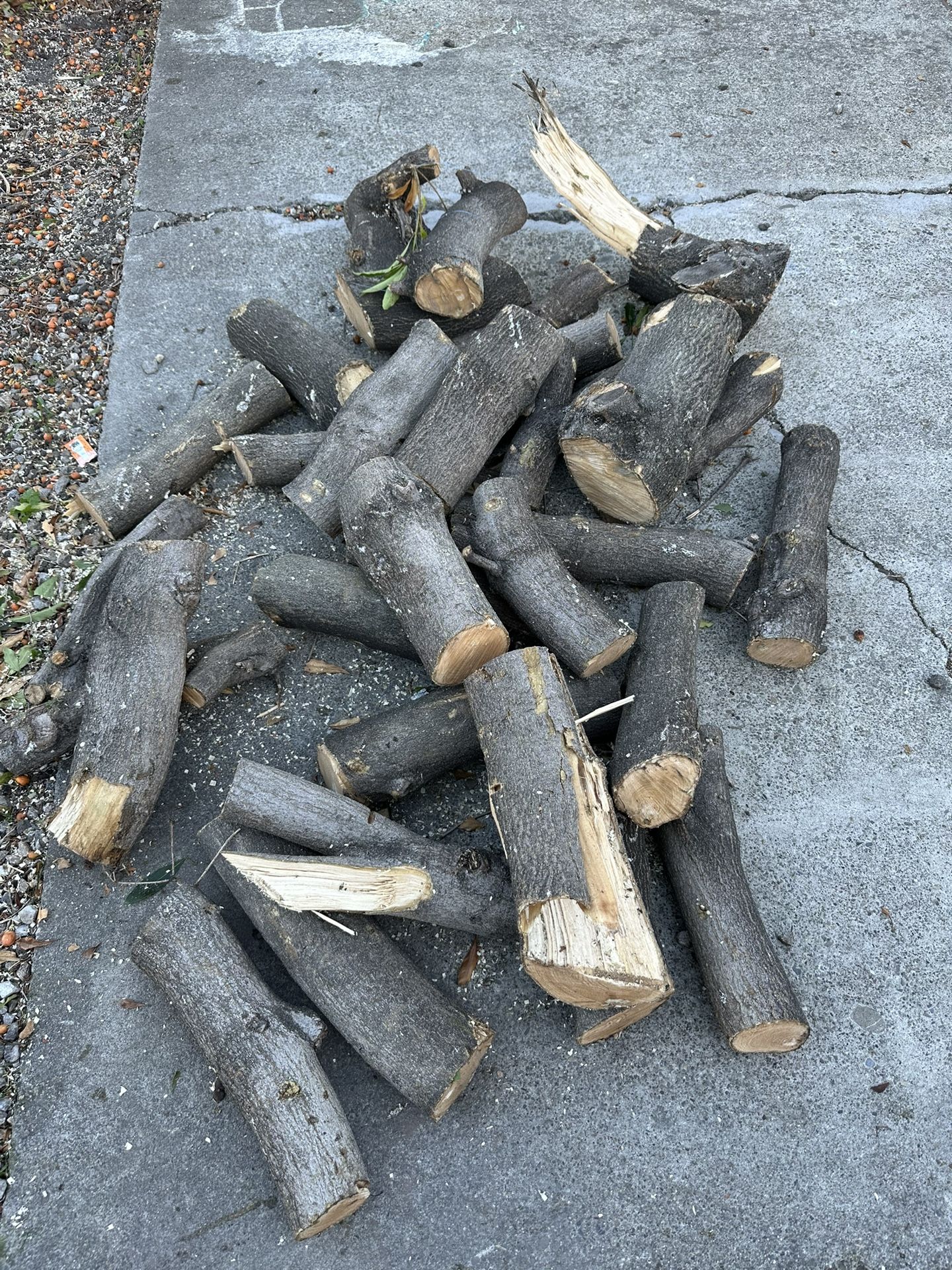 Free Firewood Logs