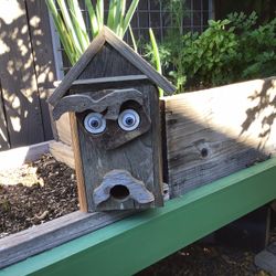 Masked Halloween Bird House