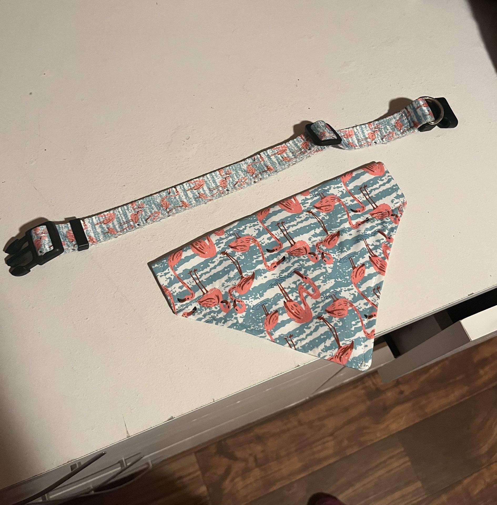 Leash, Collar, Bandanna