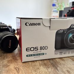 Canon 80D Used with EFS 18-135 mm Lens, 2 Extra Batteries, and Small Camera Bag