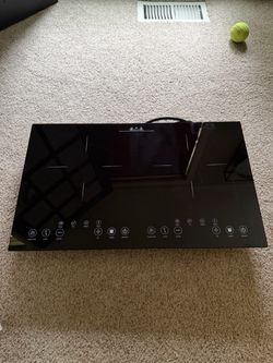 Induction cooker, portable